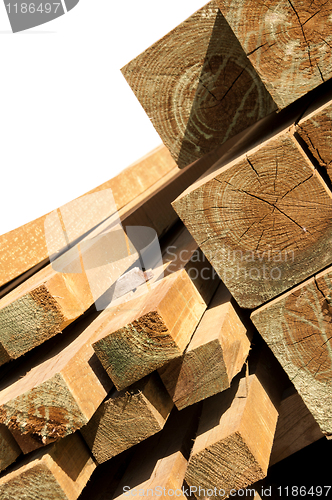 Image of Pine wood logs