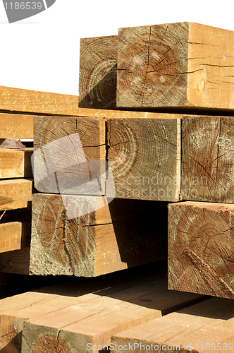 Image of Pine wood logs