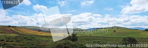 Image of Green Mediterranean hills 