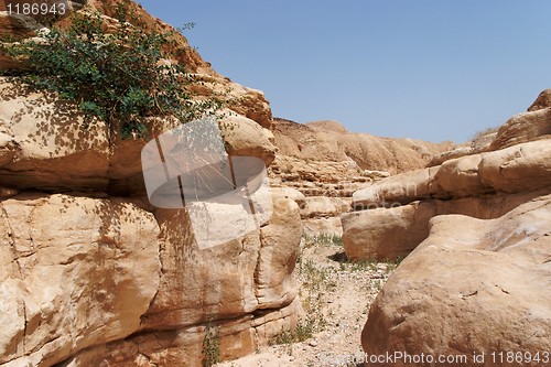 Image of Rocky desert canyon