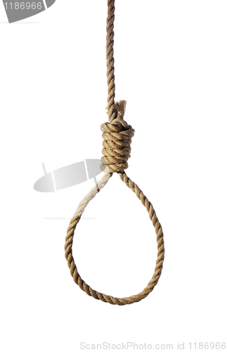 Image of Noose