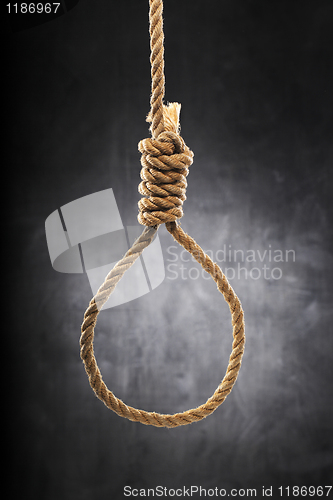 Image of Noose