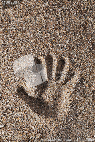 Image of Hand print