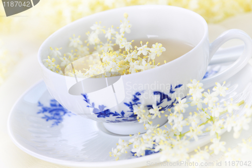 Image of Elder flower tea