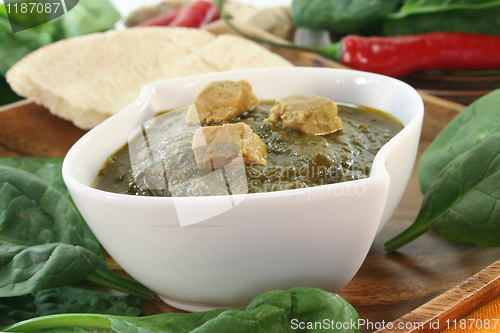 Image of Palak Paneer