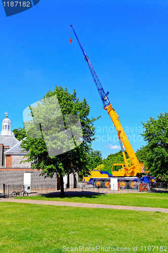 Image of Crane and tree