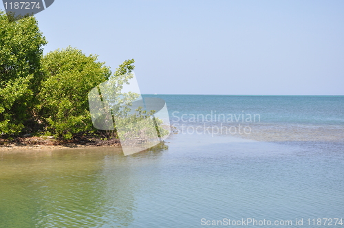 Image of Roatan in the Honduras