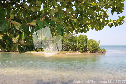 Image of Roatan in Honduras