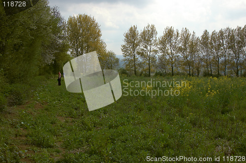 Image of A walk in the country