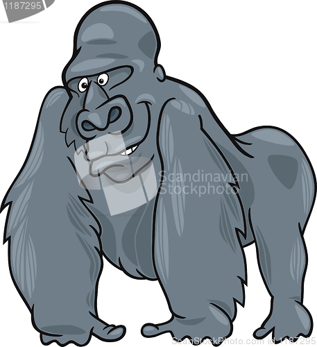 Image of gorilla