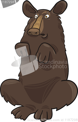 Image of Baribal American black bear