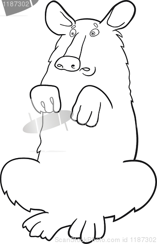 Image of Baribal American black bear for coloring book