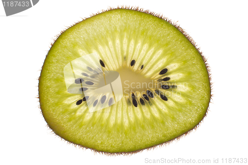 Image of One kiwi slice