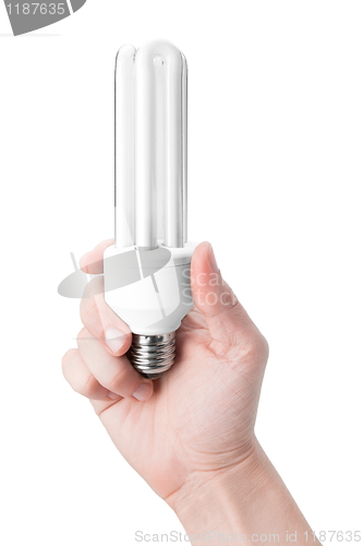 Image of holding lamp