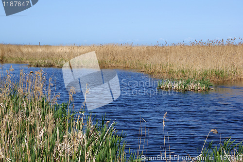 Image of landscape