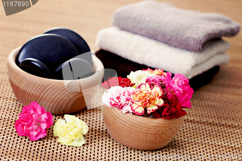 Image of carnations and pebbles