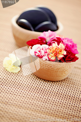 Image of carnations and pebbles