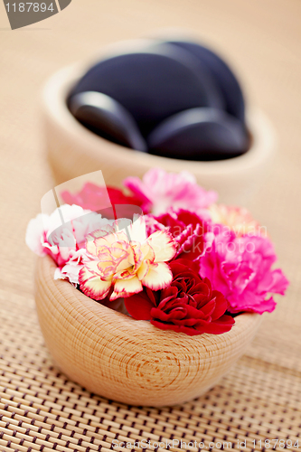 Image of carnations and pebbles