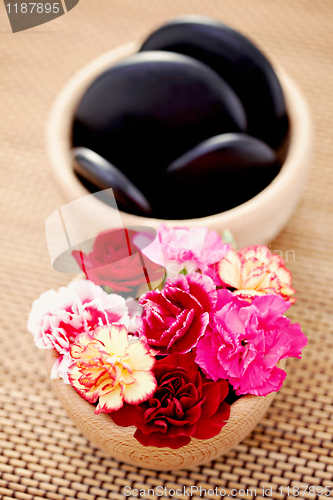 Image of carnations and pebbles