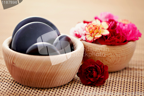 Image of carnations and pebbles