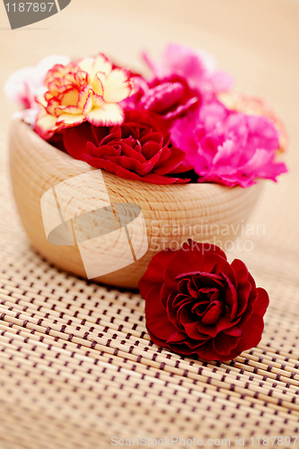 Image of carnations