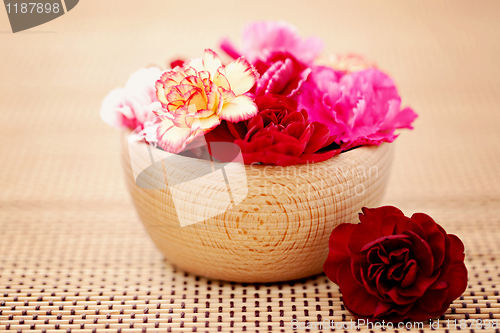 Image of carnations