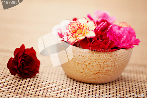 Image of carnations