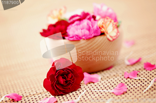 Image of carnations