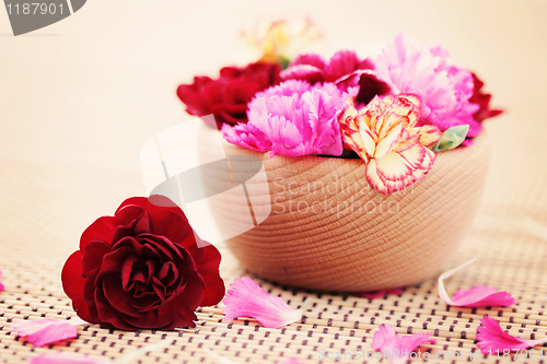 Image of carnations