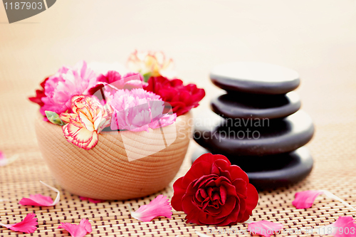 Image of carnations and pebbles