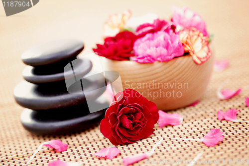 Image of carnations and pebbles