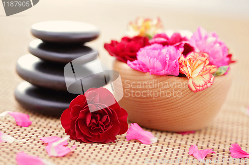 Image of carnations and pebbles