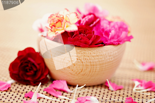 Image of carnations
