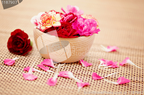 Image of carnations