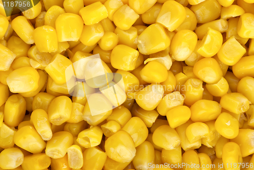 Image of Food background: prepared corn grains