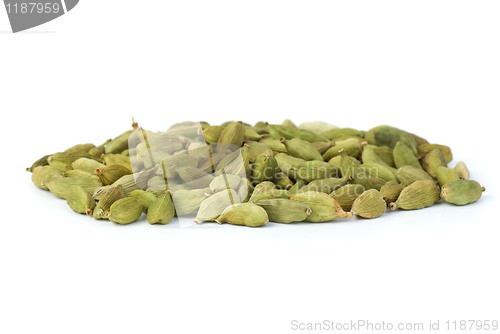 Image of Small pile of green cardamon seeds