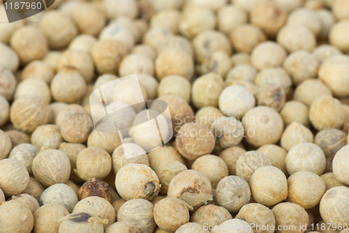 Image of White pepper background