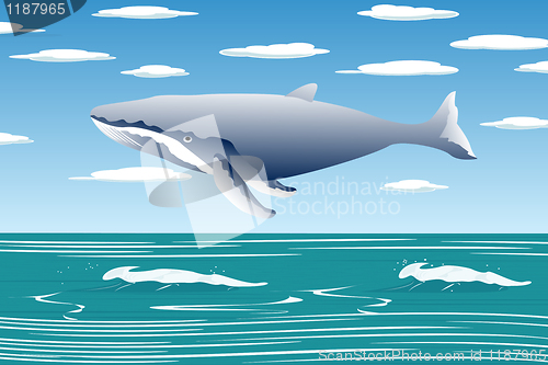 Image of Flying sperm whale