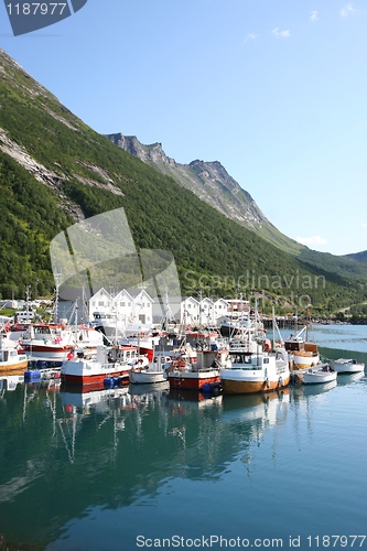 Image of Fishing village at Lofoten