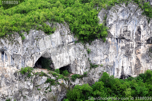 Image of Fragment of Limestone Rock