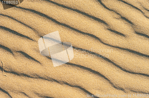 Image of Dune texture