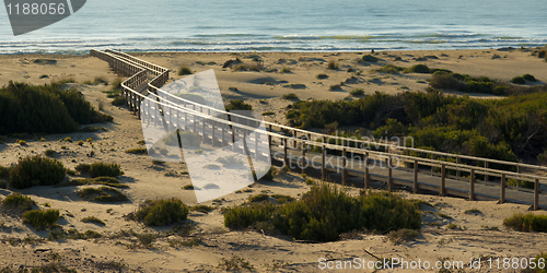 Image of Footbridge