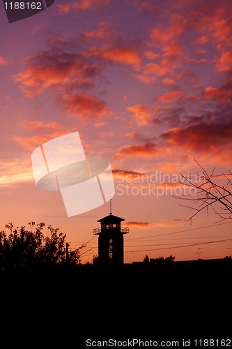 Image of Evening Silhouettes