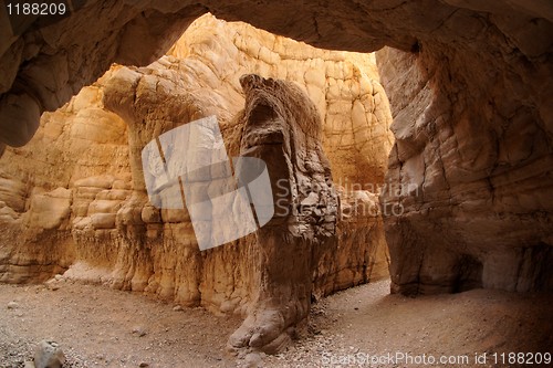 Image of Desert canyon