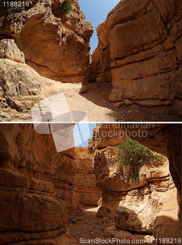 Image of Orange desert canyon