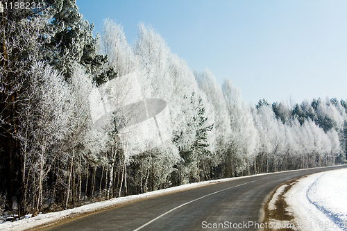 Image of road located along wood 