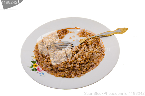 Image of buckwheat