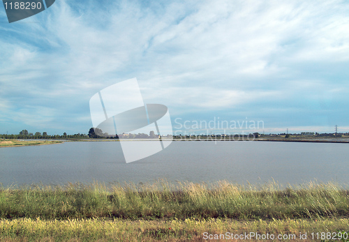 Image of Paddy field