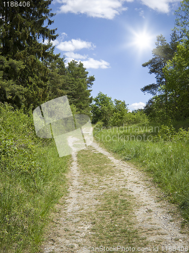 Image of nature