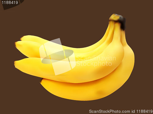 Image of illustration of the fersh banana bunch